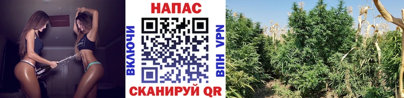 Канабис тримм  Усть-Джегута 